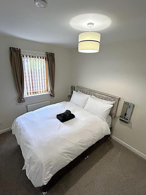 Cosy At Camden, Entire Bungalow Evanton Екстериор снимка